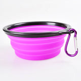 Collapsible Dog Travel Bowl